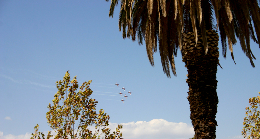 Roulettes between trees