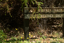 Godfrey Track