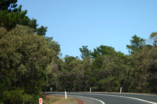 Victorian Highway