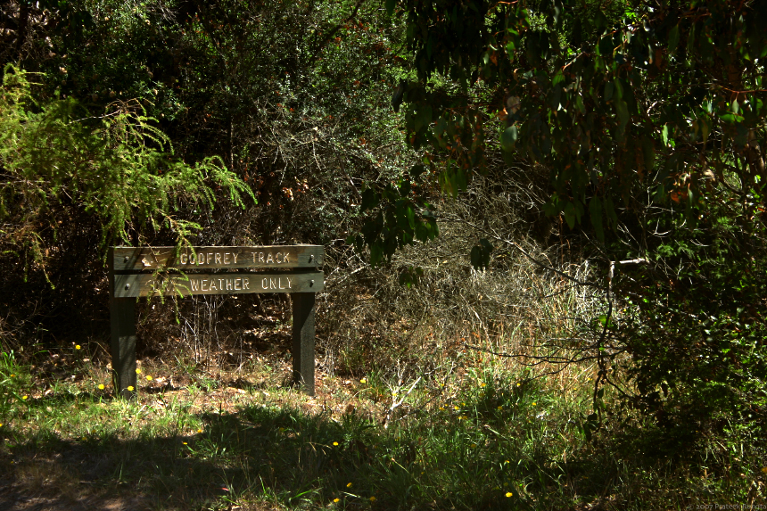 Godfrey Track